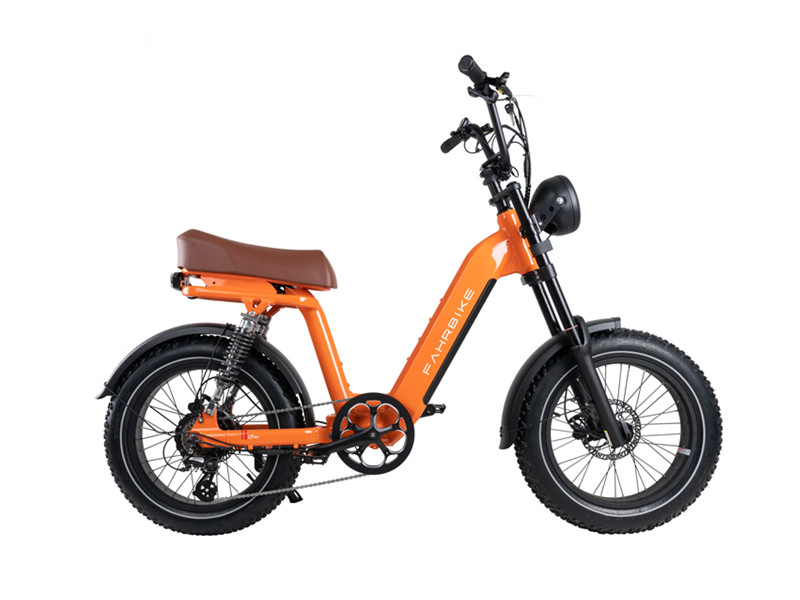 Vélo électrique en variantes de design
   