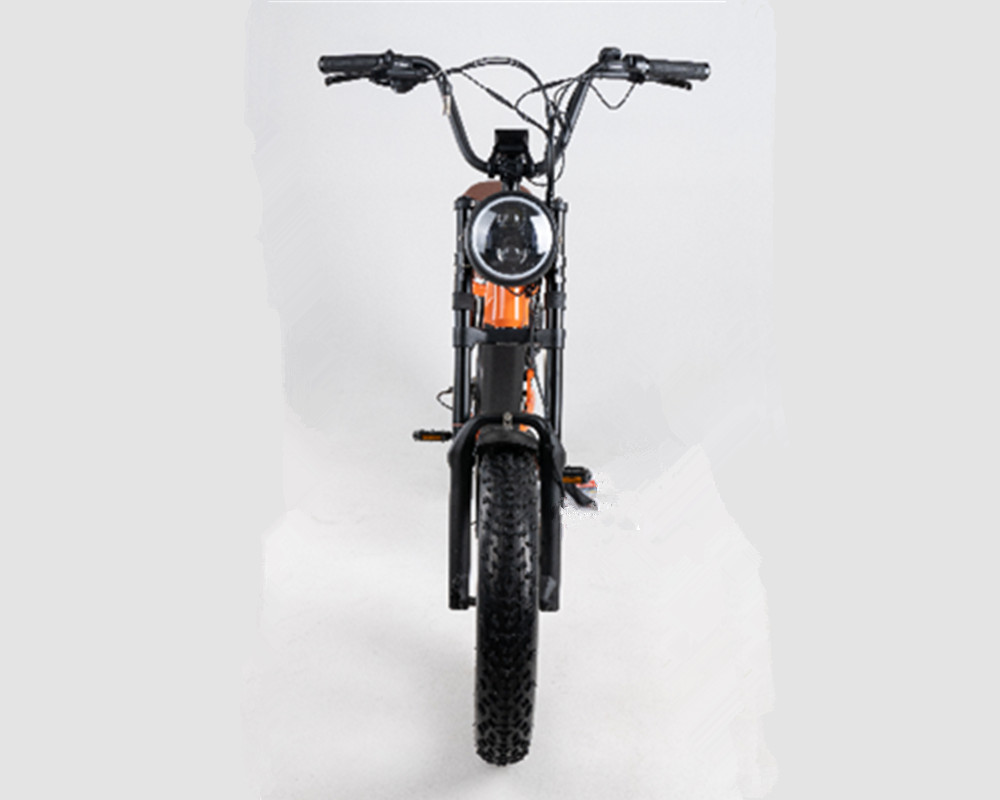 Vélo électrique de type cyclomoteur Lee9420
   