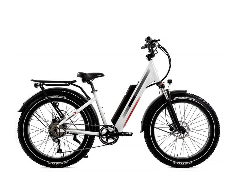 Vélo électrique Fat Mountain Lee9060
   