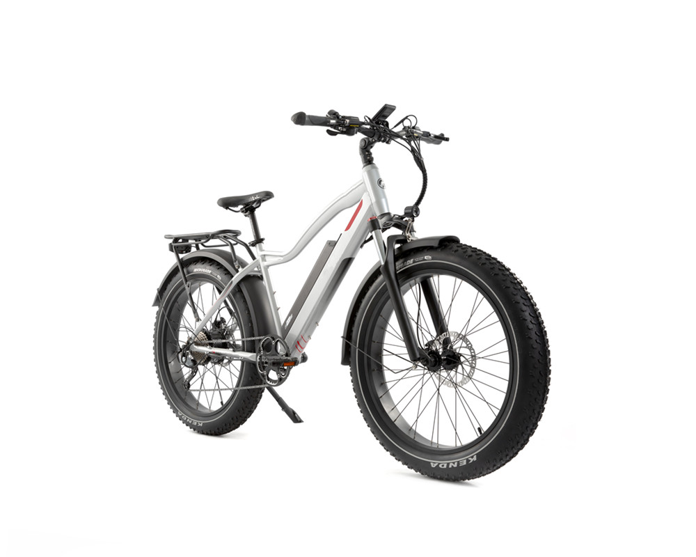 Vélo de montagne électrique Lee9050, gros pneu, moteur haute puissance
   