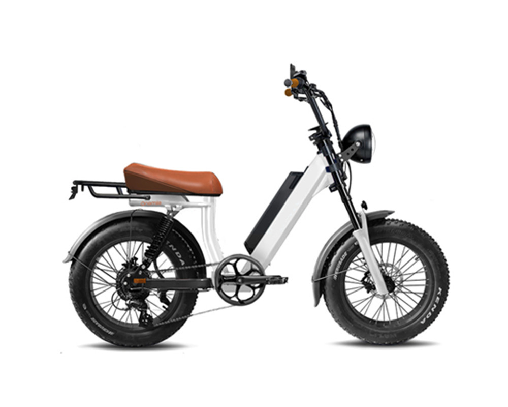 Vélo électrique à gros pneus style cyclomoteur lee9400
   