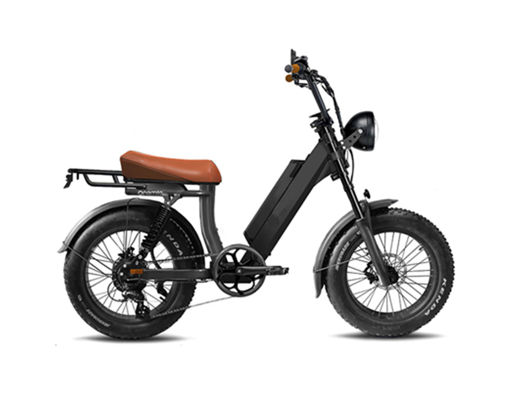 Vélo électrique à gros pneus style cyclomoteur lee9400
   