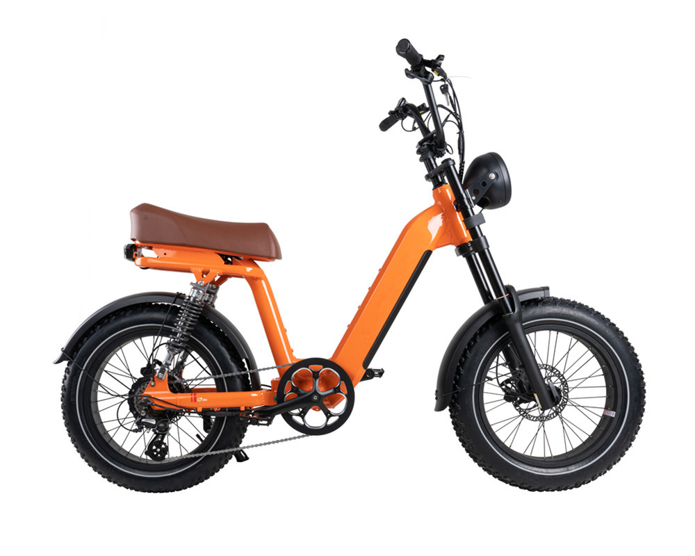 Vélo électrique de type cyclomoteur Lee9420
   