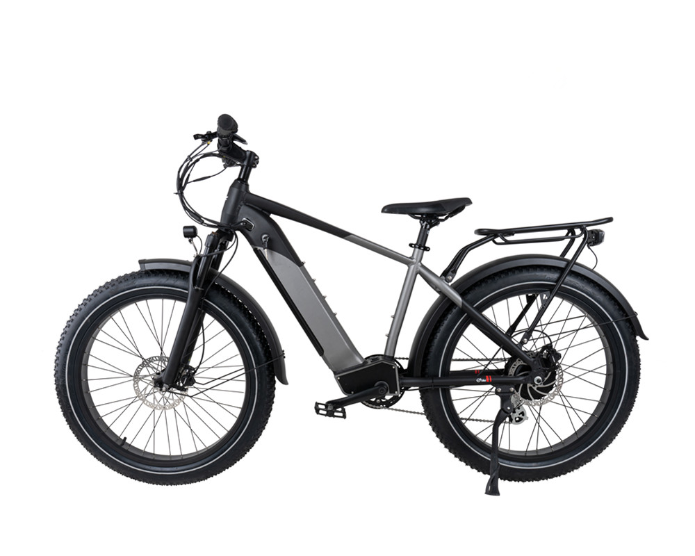 VTT électrique Fat Tire Snow Beach lee9030
   