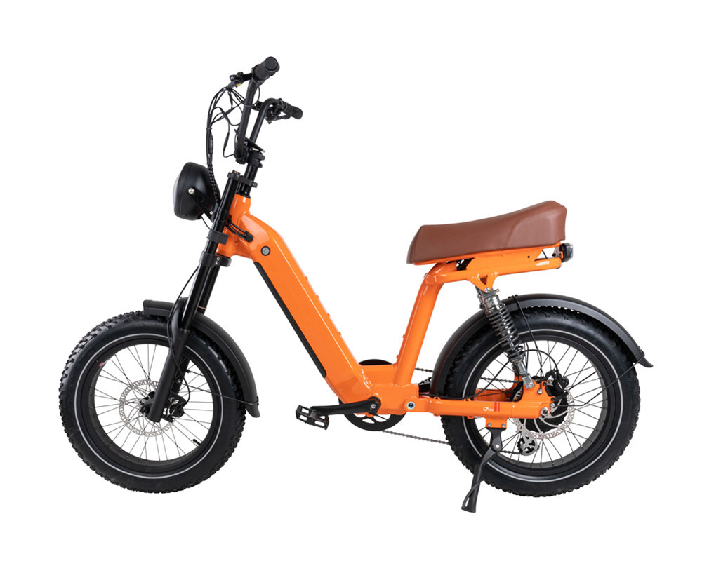 Vélo électrique de type cyclomoteur Lee9420
   