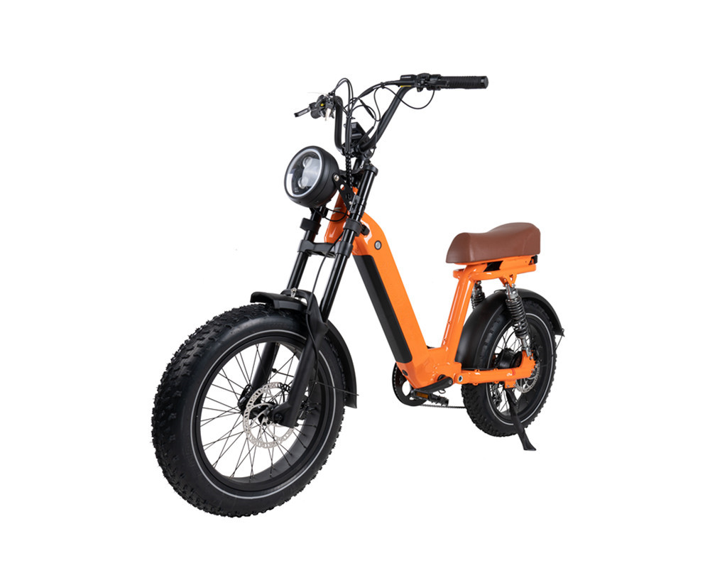 Vélo électrique de type cyclomoteur Lee9420
   