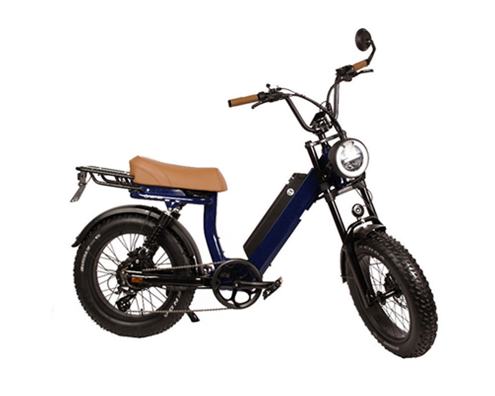 vélos électriques utilitaires, cyclomoteurs électriques, vélos électriques à gros pneus Lee9400
   