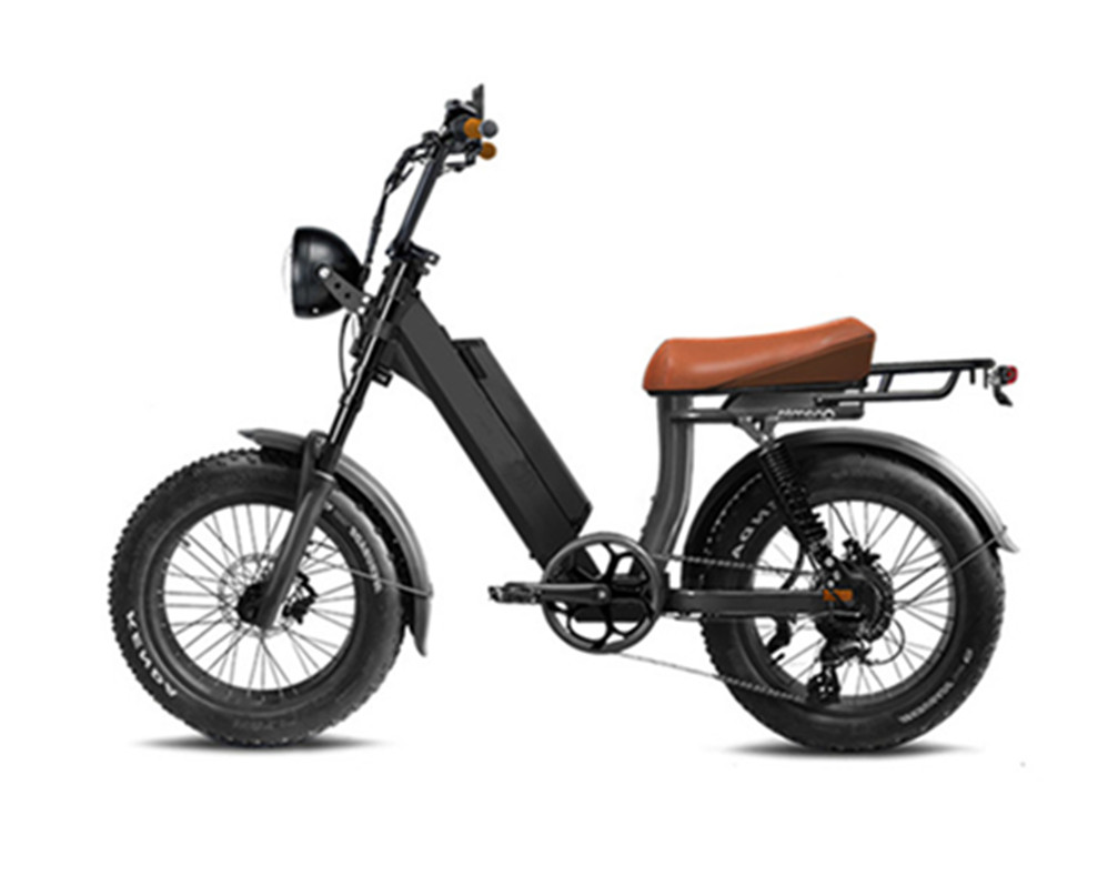 vélos électriques utilitaires, cyclomoteurs électriques, vélos électriques à gros pneus Lee9400
   