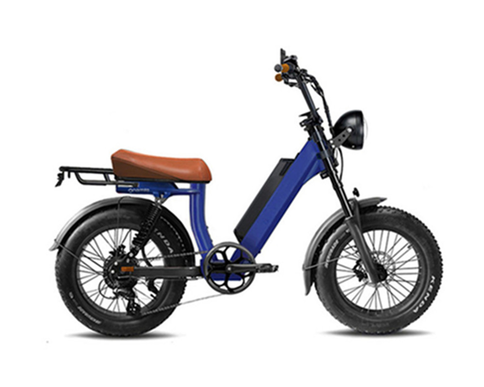 vélos électriques utilitaires, cyclomoteurs électriques, vélos électriques à gros pneus Lee9400
   