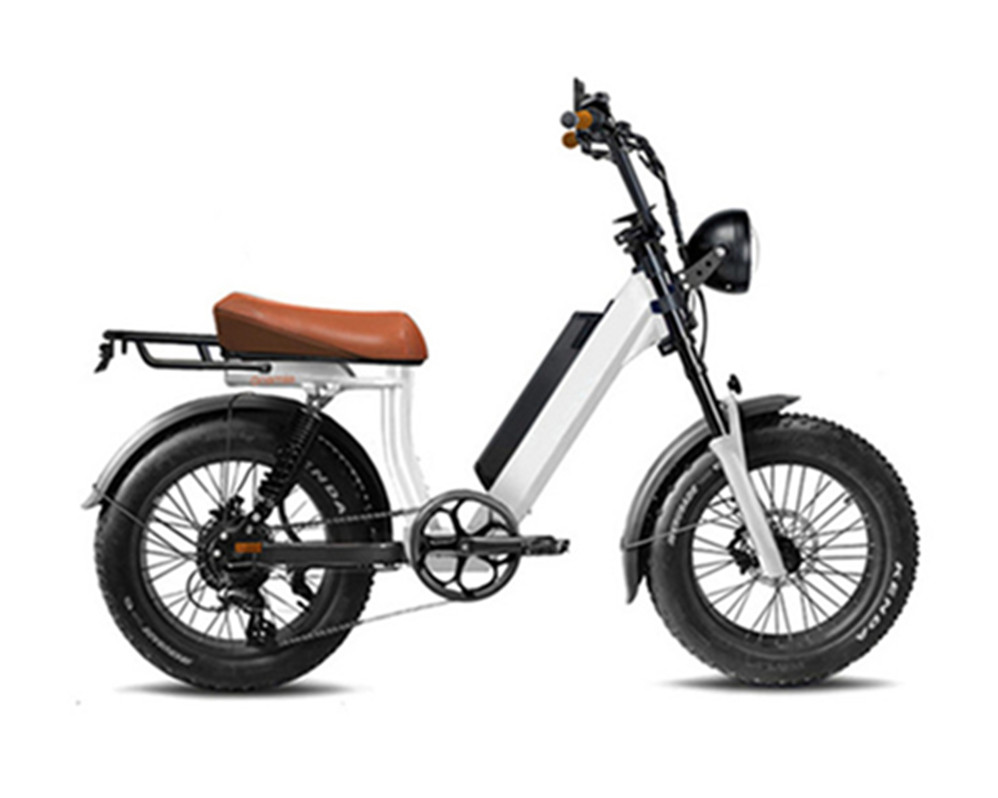 vélos électriques utilitaires, cyclomoteurs électriques, vélos électriques à gros pneus Lee9400
   