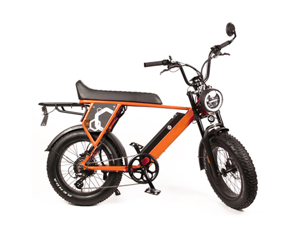 Moto électrique super rapide de type scrambler, vélo électrique utilitaire à gros pneus, Lee9410-1
   