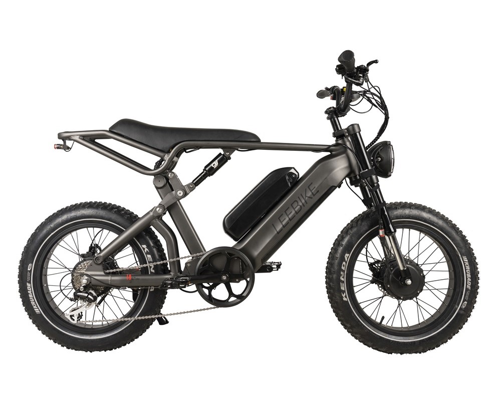 Vélo électrique à double moteur et double batterie avec gros pneu Lee953
   