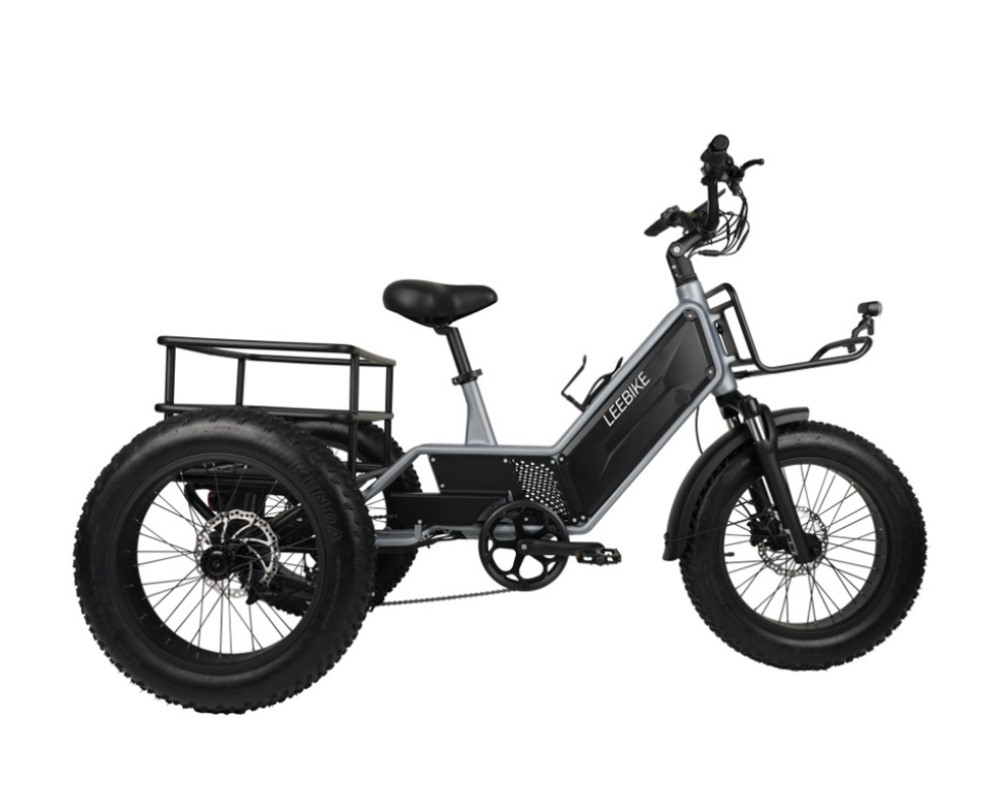 Tricycle électrique à batterie cachée à 3 roues LEE992
   