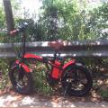 LEEF8620-1 Electric Folding Bike
   